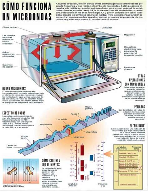 Esquema de las partes internas de un microondas, resaltando la cubierta guía de ondas
