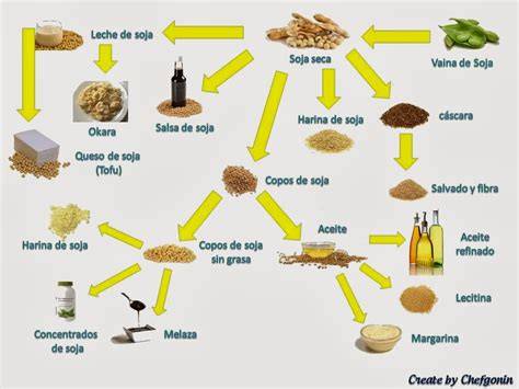 Diversos productos derivados de la soja