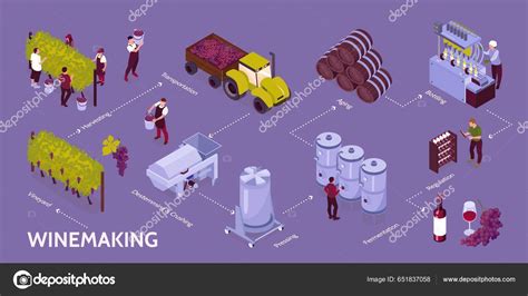 Etapas de producción del vino