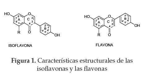 Estructura molecular de las isoflavonas de soja