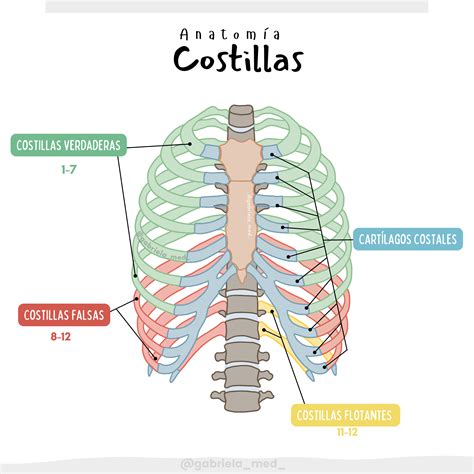 Proceso de dorado de las costillas y sofrito