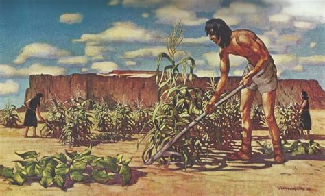 Ilustración de indígenas venezolanos cultivando maíz