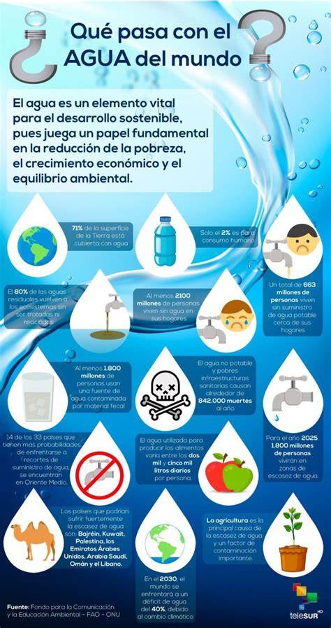 Infografía sobre cómo aprovechar el agua de cocción de los vegetales