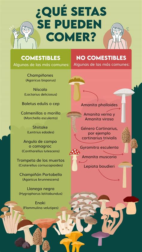 Ejemplos de decoraciones no comestibles