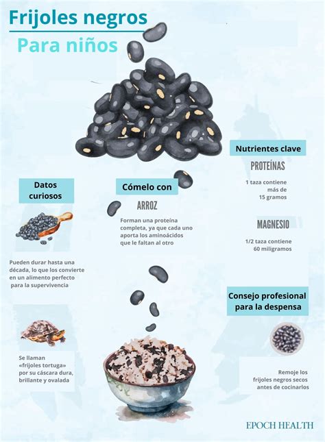Infografía detallando los nutrientes de los frijoles negros