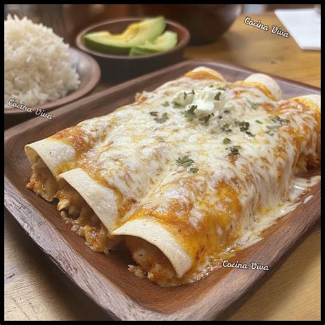 Refractario con salsa para enchiladas