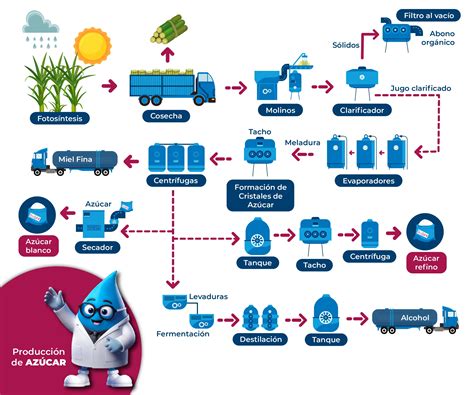 Esquema del proceso de producción de azúcar de caña y obtención de melaza