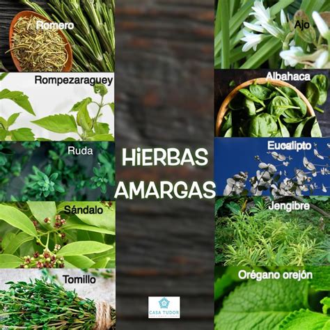 Infografía mostrando las propiedades de diferentes hierbas amargas para el hígado