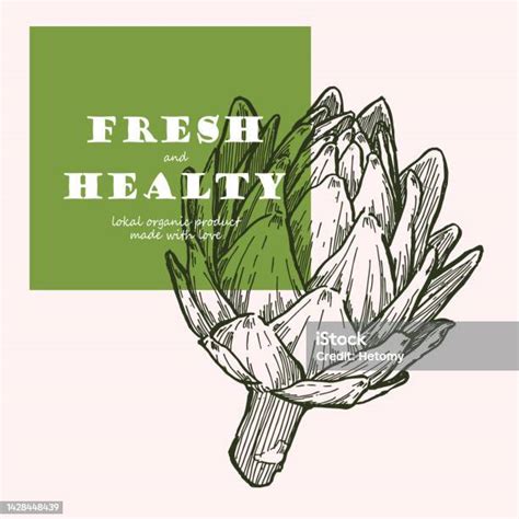 Ilustración de alcachofas frescas