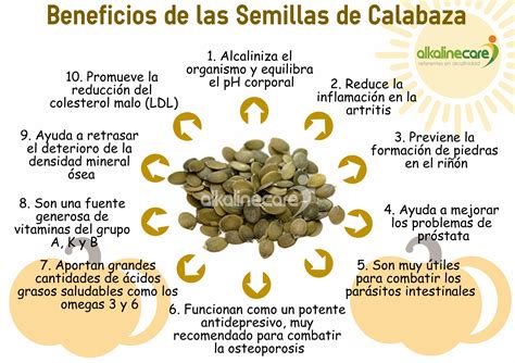 Infografía sobre los beneficios nutricionales de las semillas de calabaza
