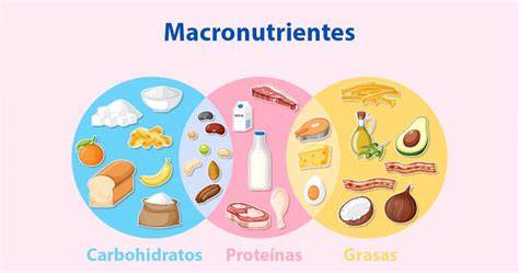 Gráfico de macronutrientes del chicharrón