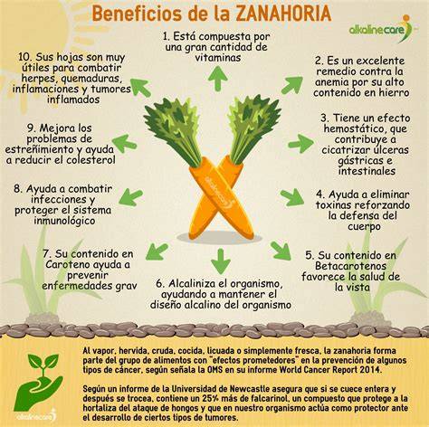 Infografía sobre los beneficios de la zanahoria