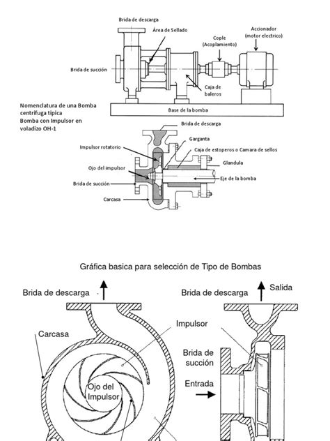 Esquema de las capas para montar una bomba de chocolate artesanal
