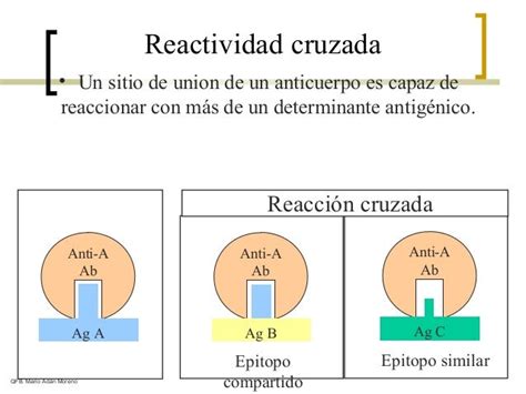 Ilustración de la reacción cruzada entre polen y vegetales
