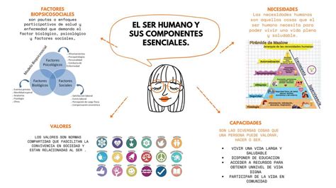 Infografía: Componentes esenciales de un escabeche