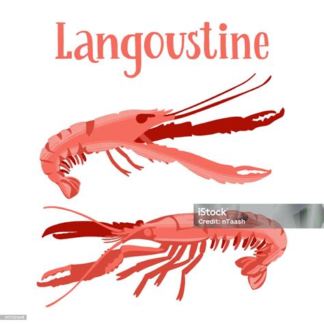 Ilustración de langostinos frescos