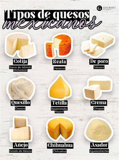 Diferentes tipos de quesos con etiquetas de 