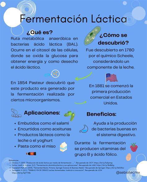 Esquema de la lactofermentación