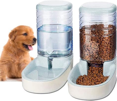 Tipos de comederos para perros