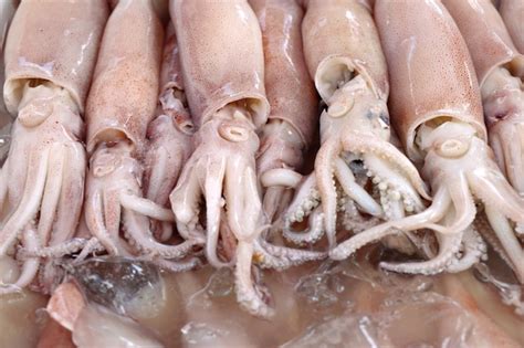 Ilustración de calamares frescos en un mercado
