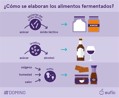 Proceso de fermentación de la fruta