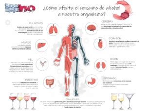 Infografía: capacidad de metabolización del alcohol en diferentes animales