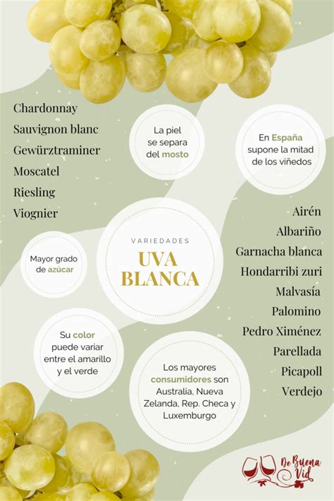 Uvas blancas y vino moscatel