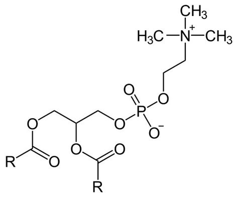 Estructura química de la lecitina de soja