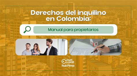 Infografía sobre los derechos del inquilino frente al propietario