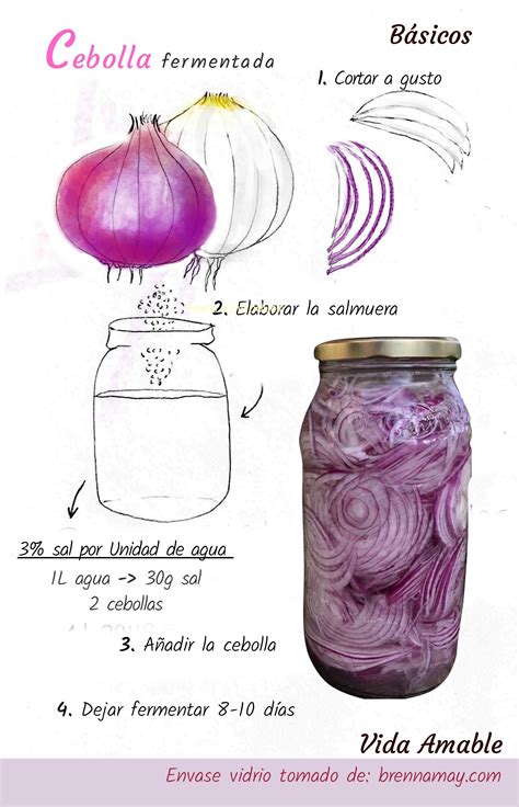 Ingredientes para cebolla fermentada