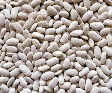 Infografía: Beneficios nutricionales de la alubia plancheta