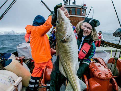 Pesca de bacalao skrei en Noruega