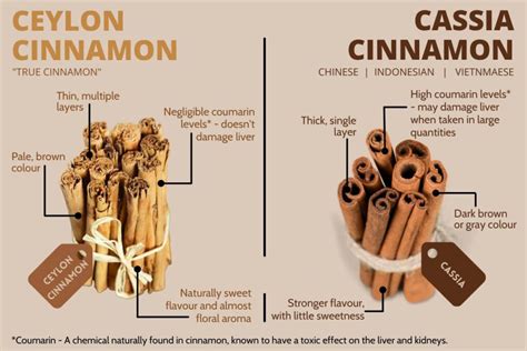 Comparación visual entre la canela de Ceilán y la canela Cassia