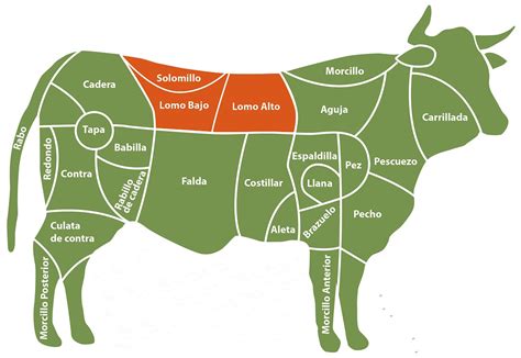 Cortes de carne de vacuno para guisar