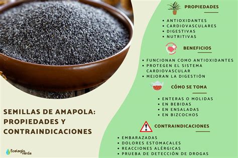 Comparación visual de semillas de amapola blancas y negras