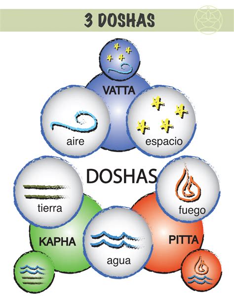 Diagrama de los doshas en la Ayurveda