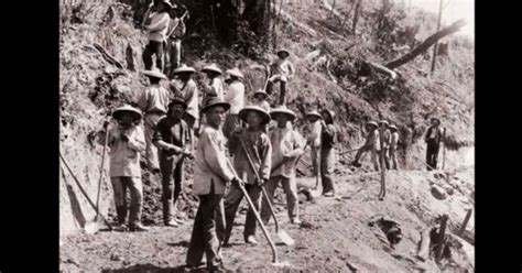 Inmigrantes chinos trabajando en Perú en el siglo XIX