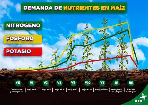 Gráfico comparativo de rendimiento de cultivo de tomate con diferentes fertilizantes