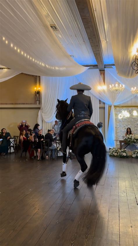 Caballos para eventos