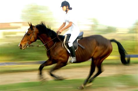 Persona montando a caballo en una pista
