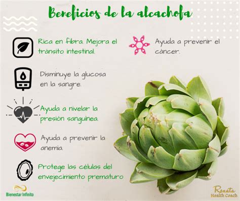 Infografía beneficios de la alcachofa