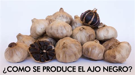 Proceso de elaboración del ajo negro