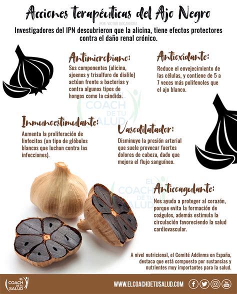Infografía comparando ajo blanco y ajo negro
