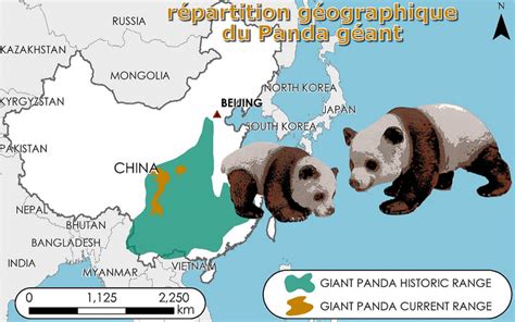 Mapa de distribución del panda gigante