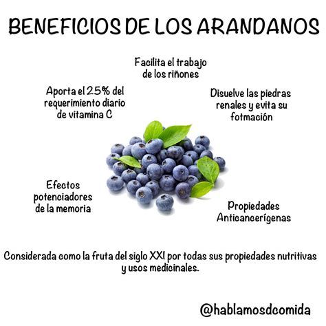 Infografía sobre los beneficios de los arándanos para la salud canina