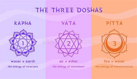 Esquema de doshas Ayurveda