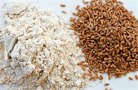 Grãos de espelta e farinha de espelta
