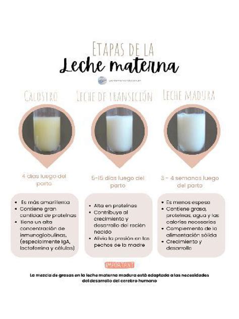 Esquema de transición gradual de leche materna a fórmula