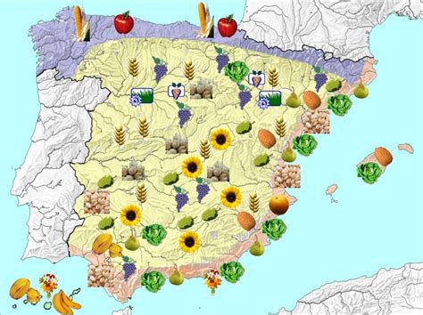 Mapa de la producción de tomate en España por provincias