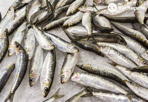 Ilustración de sardinas frescas en un mercado